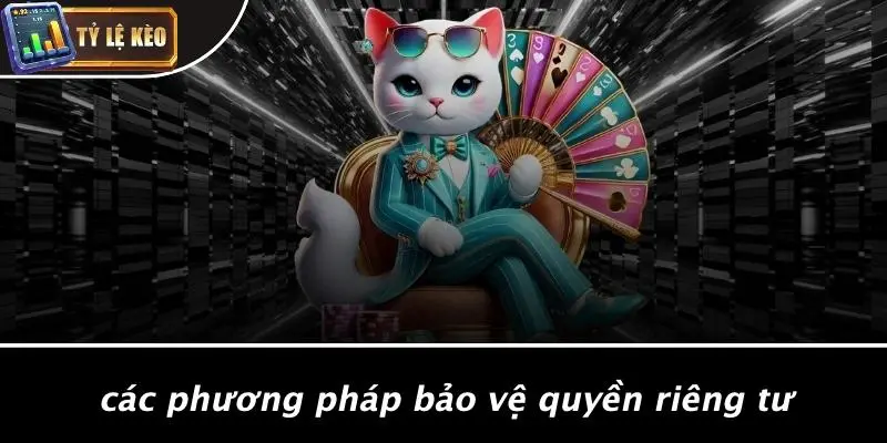 Quyền riêng tư 2 quyền riêng tư