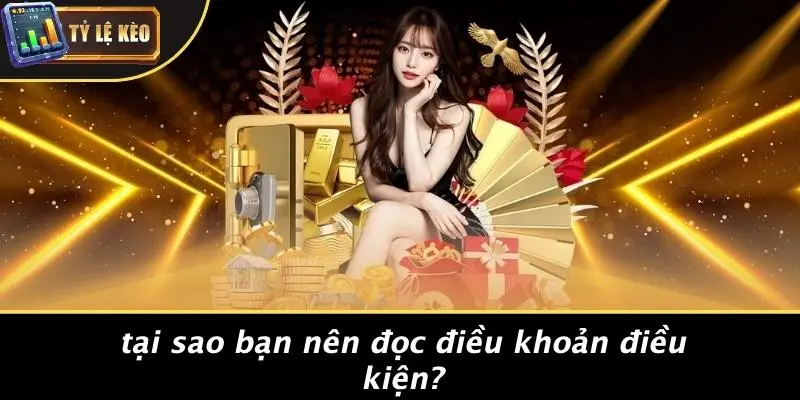 Điều Khoản Điều Kiện 2 điều khoản điều kiện