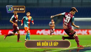 Đá biên là gì