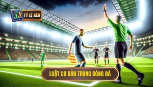 luật cơ bản trong bóng đá