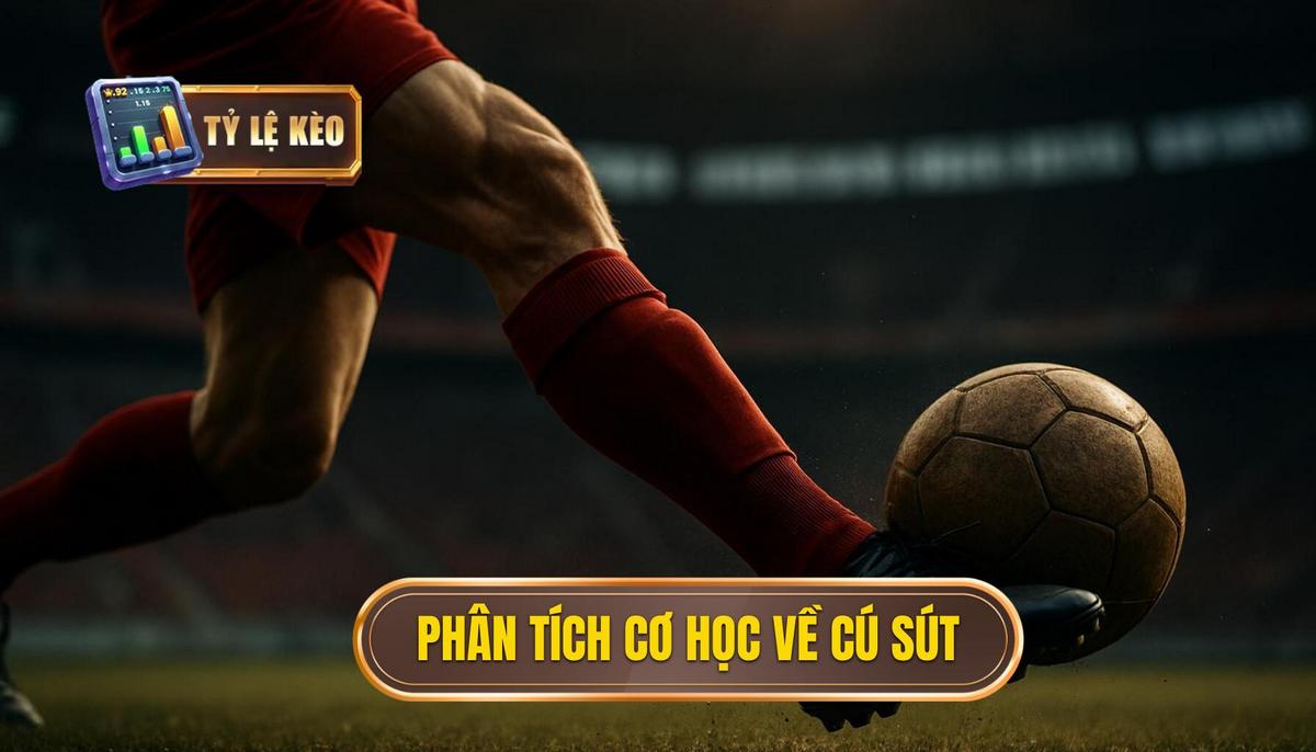 Bí Quyết Nắm Vững Kỹ Thuật Sút Bóng Bằng Mu Bàn Chân Mạnh Mẽ 2 Phân Tích Cơ Học Chuyên Sâu Của Cú Sút