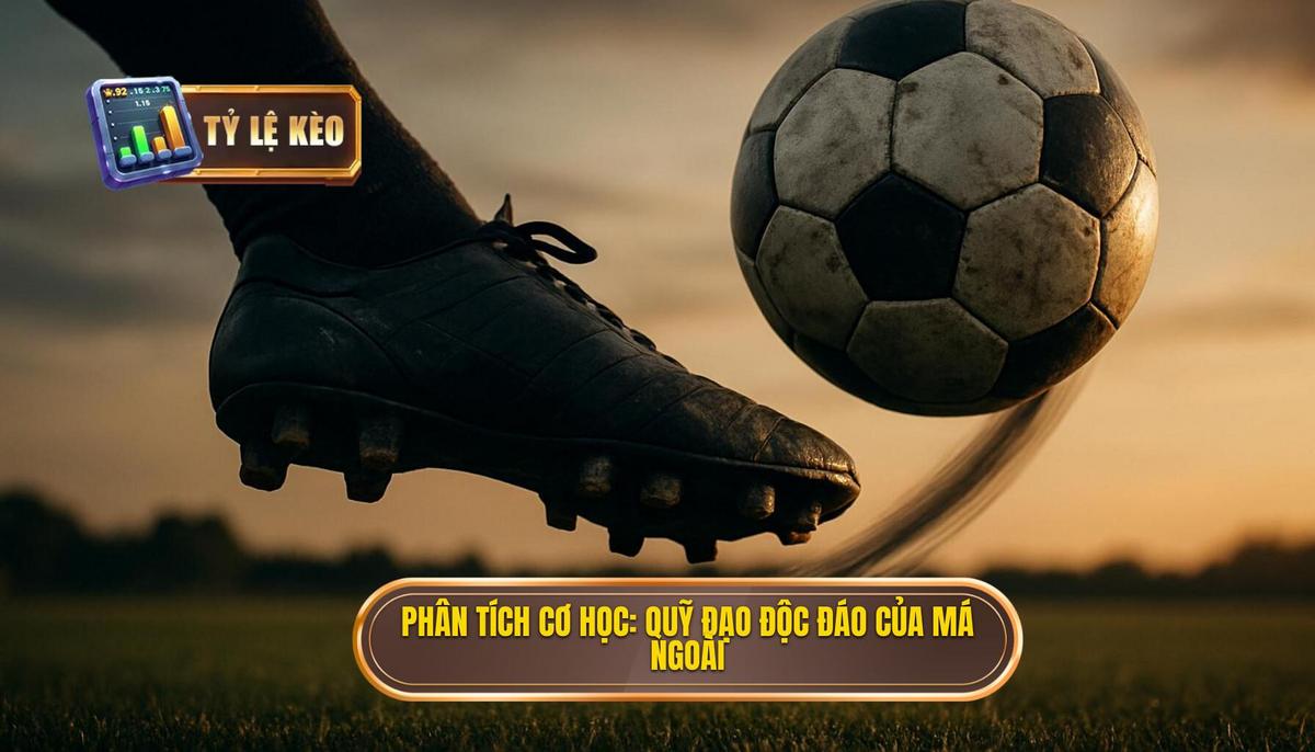 Phân Tích Cơ Học_ Tại Sao Má Ngoài Lại Tạo Ra Quỹ Đạo Độc Đáo_