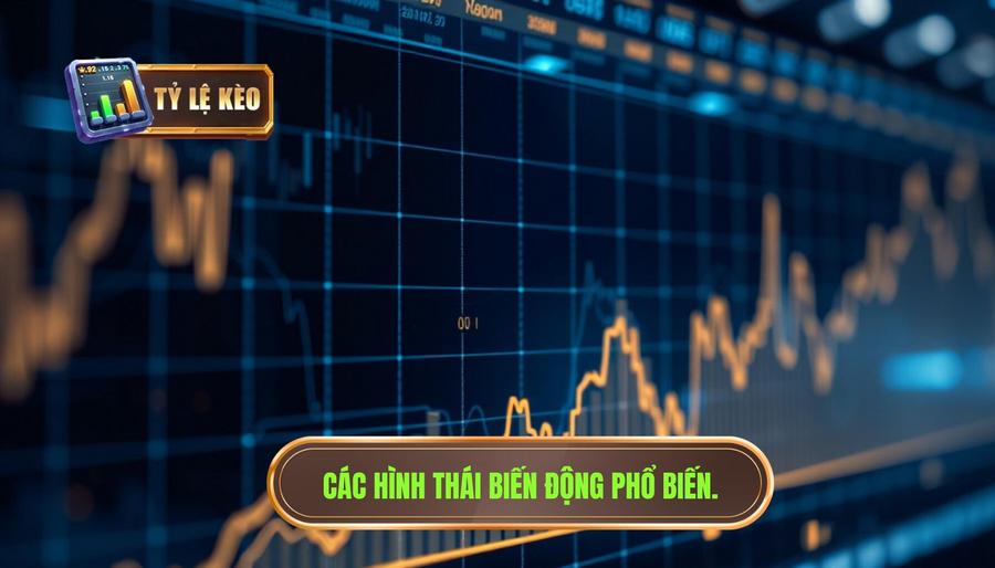 Các hình thái biến động phổ biến và ý nghĩa của chúng